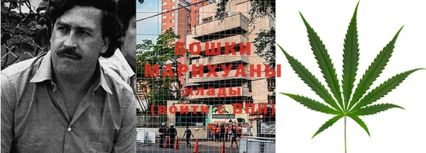 молекула духа Волоколамск