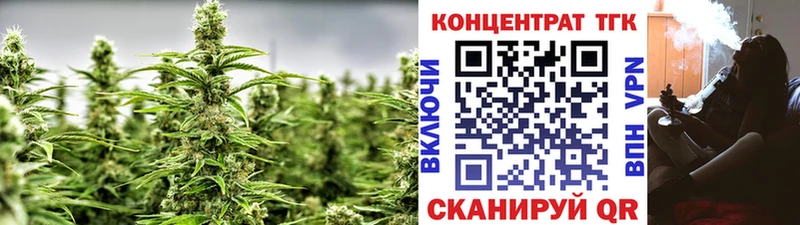 ТГК THC oil  Купить закладки  Нелидово 