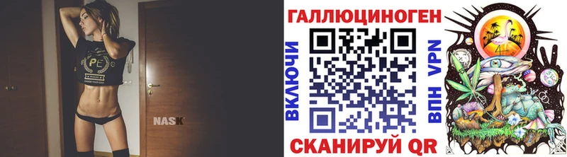Купить где  Нелидово  Псилоцибиновые грибы прущие грибы 